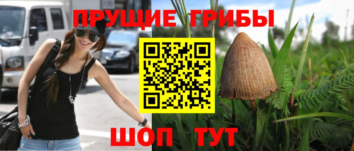 Псилоцибиновые грибы GOLDEN TEACHER  Вход с VPN  Галлюциногенные грибы прущие грибы  Елец 